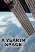 A Year in Space