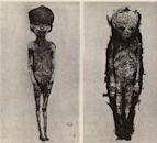 317a and 317b mummies