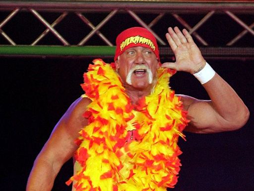 Hulk Hogan Stole The Idea Of Hulkamania From Austin Idol