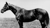 How many horses have won Triple Crown? Meet winners of the Derby, Preakness and Belmont