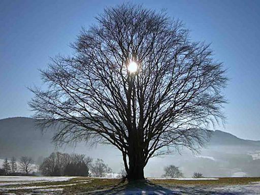 El solsticio del 20 de junio será el día más largo del año y marcará el cambio de estación