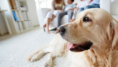 California pet owners looking for an apartment may get help from new legislation