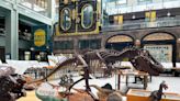古生物來襲 科教館展出逾300件生物化石