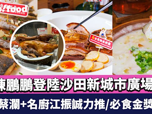 深圳潮汕菜名店陳鵬鵬登陸沙田新城市廣場！食家蔡瀾+名廚江振誠力推/必食金獎滷鵝