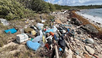 Hallan jeringas y basura en la playa de Costa Maya en Mahahual