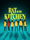 Rat in the Kitchen