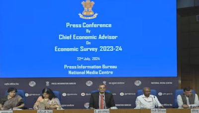 Economic Survey blasts pvt sector — 'myopic' strategy, poor investment mix & aiding sedentary lifestyle