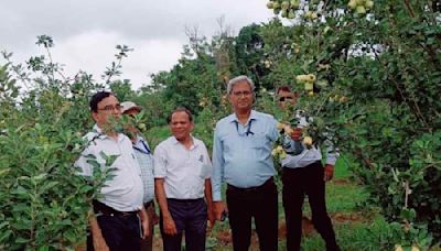 Ranchi researchers’ apple experiment bears fruit: Subtropical climate no constraint