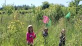 Ripley youth group tackles frog catching during pond adventure