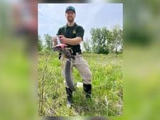 Man finds rarely seen rattlesnake in Ohio
