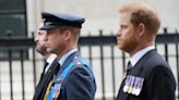 Prince Harry, Prince William and never-ending sibling rivalry