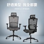 IDEA-仿生曲線護脊人體工學電腦椅-兩色可選