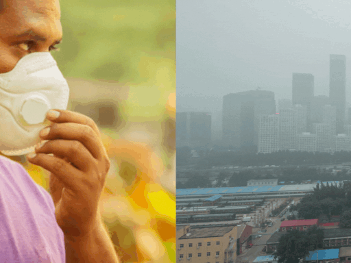 Delhi, That Chokes On Bad Air Every Year, Has Pollution Board Understaffed By 68%