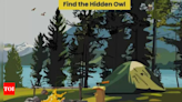 Hidden Owl in the jungle: Can you find it in 7 seconds? - Times of India
