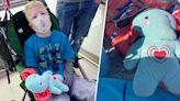 Mom begs for help to find missing stuffed elephant that contains her son's ashes