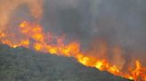 Grèce : une forêt incendiée par des feux d’artifice lancés depuis un yacht de luxe