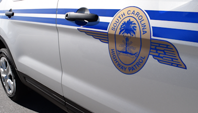 Driver hits tree and dies while trying to evade deputies, SC highway patrol says