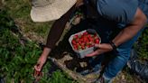 Cambio climático y cultivos: "La agricultura que se practica no regenera los ecosistemas, los degrada"