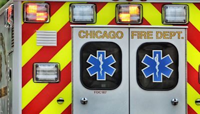 Girl, 3, and man on bike struck by car in the Loop