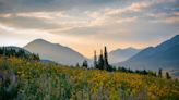 This Colorado Mountain Town Has the Most Beautiful Flower Field in the U.S.