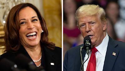 People Are Seriously Unimpressed With Donald Trump's Nickname For Kamala Harris