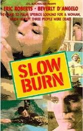 Slow Burn (1986 film)