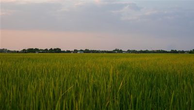 國土計畫法防不當開發為何暫緩聲浪大 農地劃設爭議一次看懂