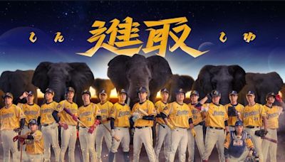 影/《CPBL》高宇杰9局驚天致勝3分砲 中信橫掃富邦登全年戰績第一 | 蕃新聞