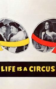 Life Is a Circus