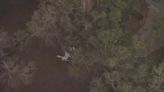 Deputies identify pilot who died in ultra-light plane crash in Volusia County