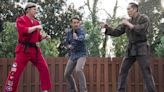 Stream It Or Skip It: 'Cobra Kai' Season 6 on Netflix, where the Valley karate wars are in a cease fire ... but Kreese is lurking