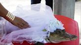 Mexican mayor ‘marries’ alligator in ritual indigenous ceremony meant to bring prosperity