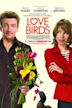 Love Birds – Ente gut, alles gut