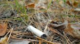 Cigarette butt may have caused brush fire near Richmond mall, says police