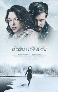 Secrets in the Snow