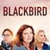 Blackbird - L'ultimo abbraccio