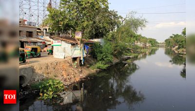 Funding Approved for Two New Bridges Across Canals in Kolkata | Kolkata News - Times of India