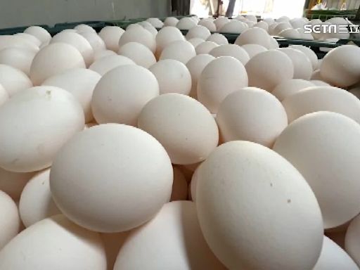 禽流感衝擊雞蛋供給 澳洲麥當勞縮短早餐供應時間