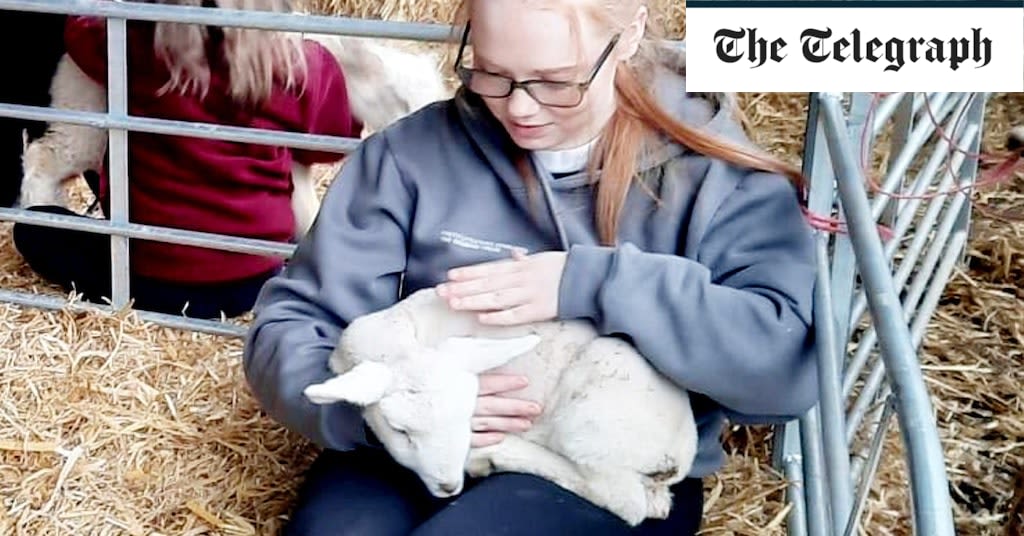 Petting farm visitors still ‘seriously ill’ after parasite infection at Easter
