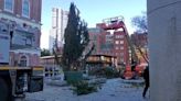 WATCH: Christmas tree arrives at Faneuil Hall for holiday season