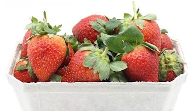 Garda appeal as two teenagers steal cash from roadside strawberry seller in Waterford