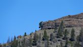 Can you spot the Yellowstone moose on the distant ridge?