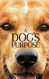 A Dog's Purpose