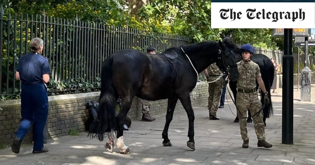Military horses bolt through central London again after losing riders