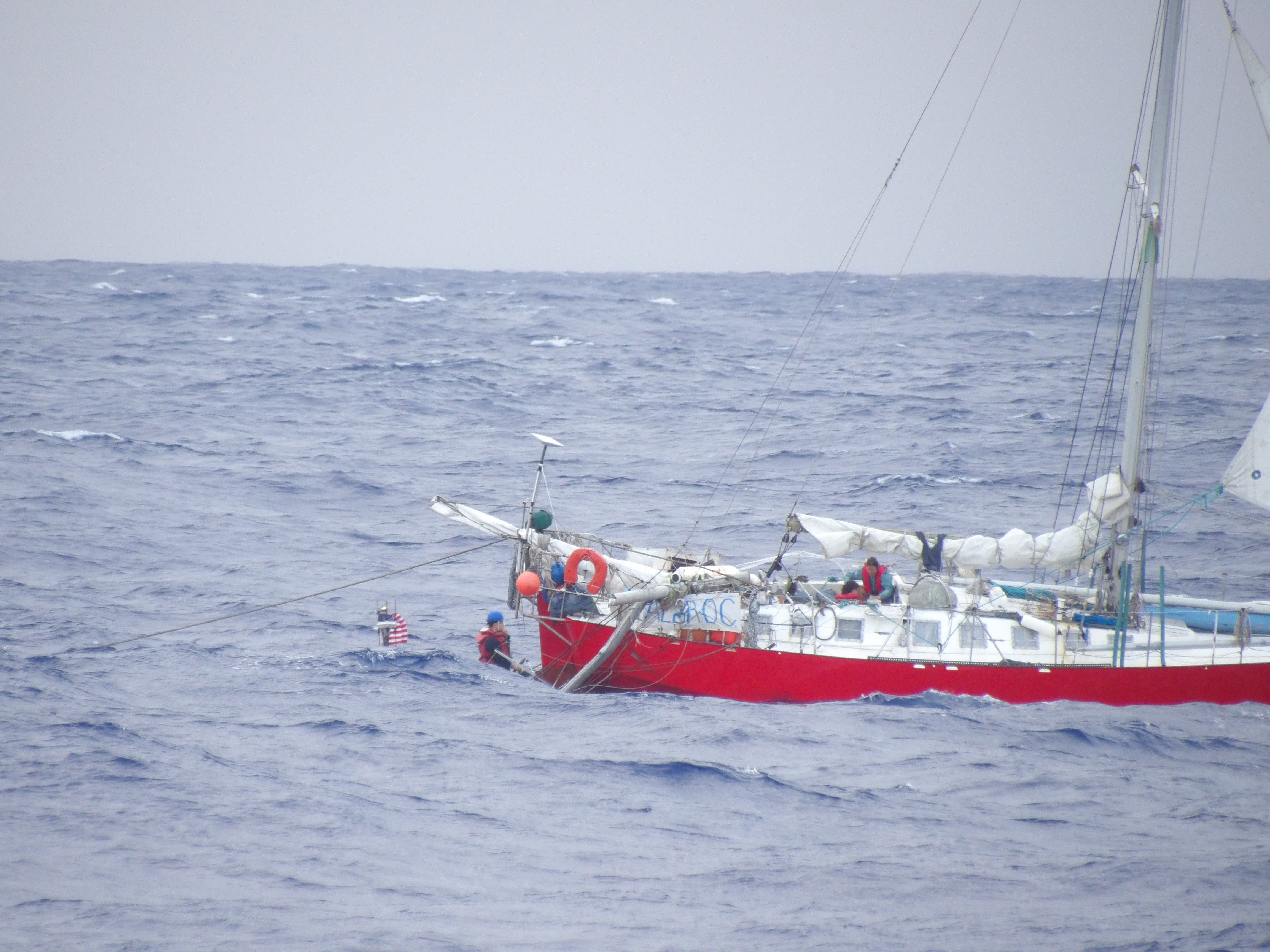 Coast Guard, Navy save mother, child, cat, tortoise stranded at sea