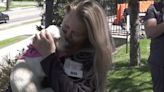 UVM nurses given puppy playtime