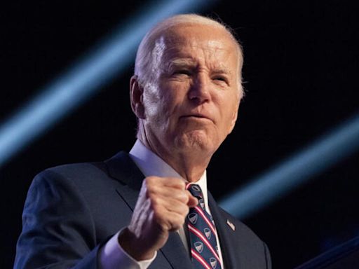 Michigan en la mira de Biden, crucial para su reelección en EEUU - Noticias Prensa Latina