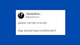 24 Of The Funniest Tweets About Cats And Dogs This Week (April 20-26)