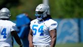 Breakout Lions defender sees ‘destruction’ when envisioning new inside DL combo