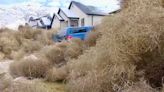 Monstrous Tumbleweeds Are Burying Trucks and Houses in Utah